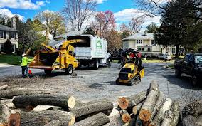 Gilberts, IL Tree Care  Company